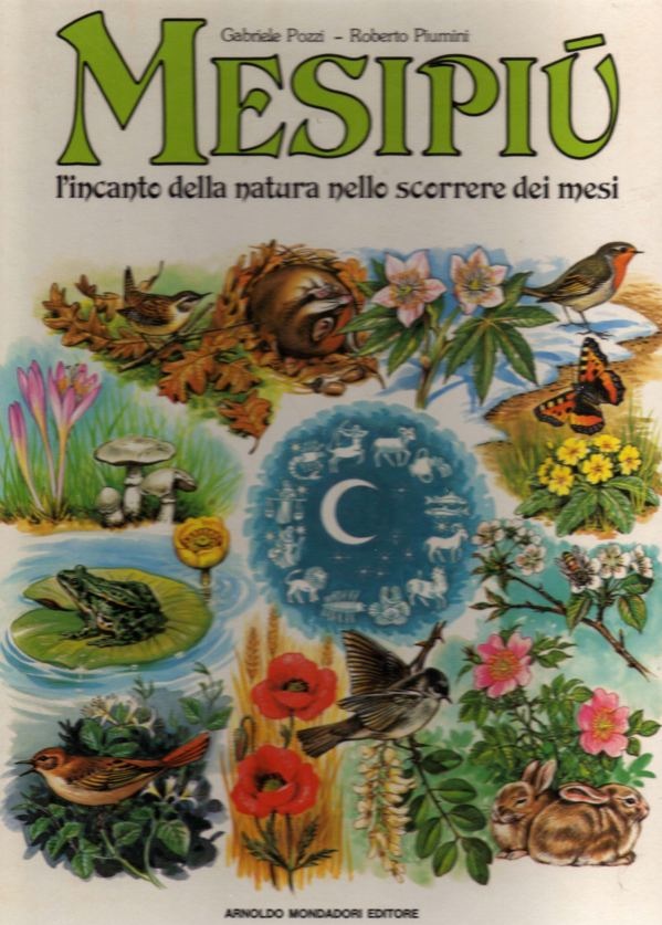 Mesipi (con gabriele pozzi)